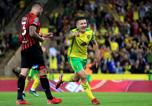 诺里奇主场难敌对手，升班马艰难生存的简单介绍