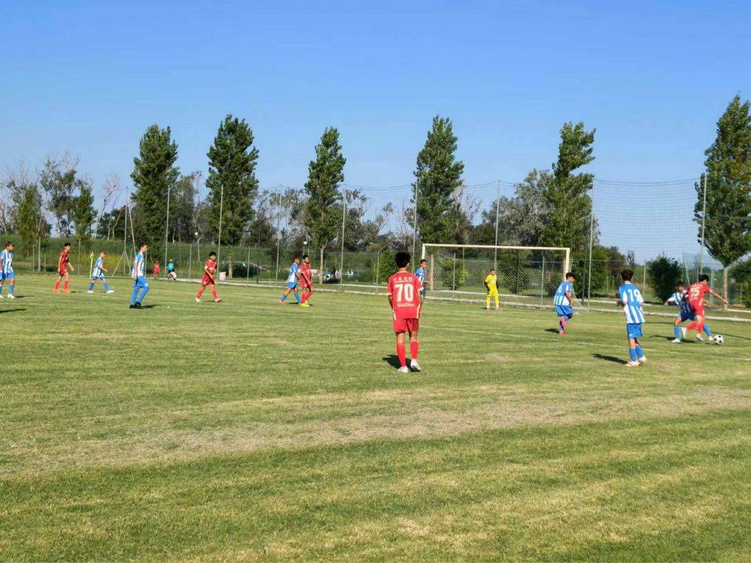 意大利足球赛事将引进新科技，提升比赛体验的简单介绍