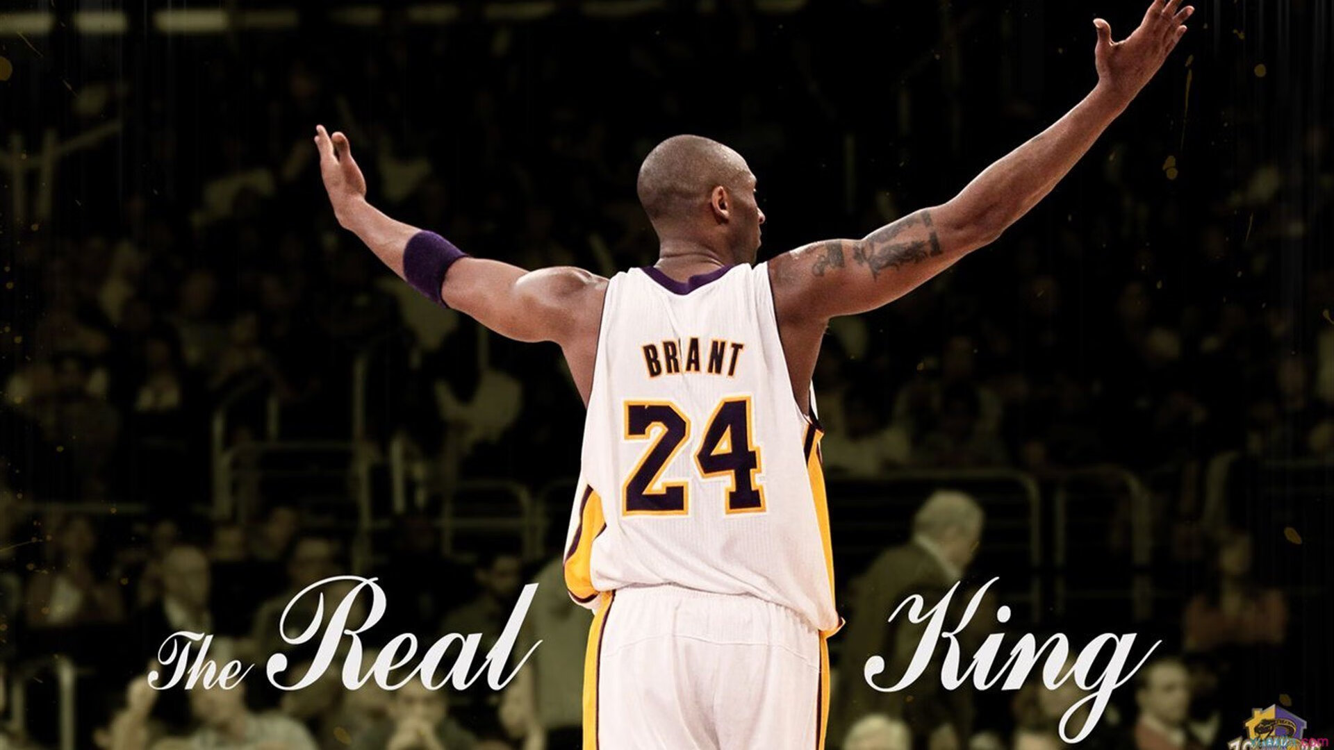 蓝黑之盾的觉醒，巴斯托尼于世界排名争夺战之夜，一锤定音